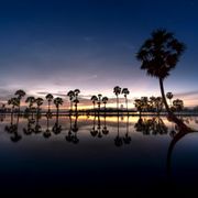 Calm water surface showing perfect balance